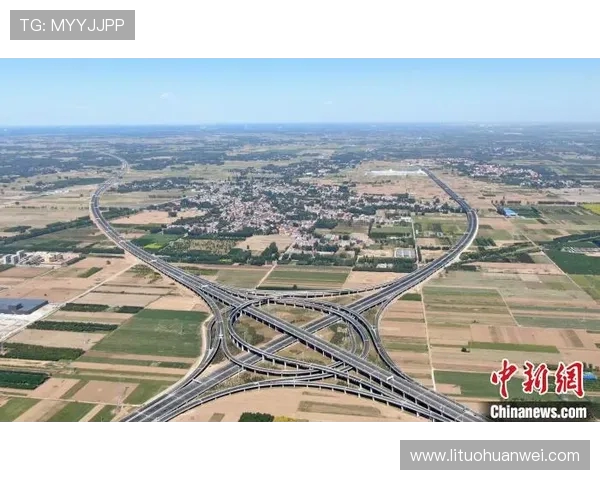 专访刘强揭秘飞盘崛起背后的成功秘诀与未来展望